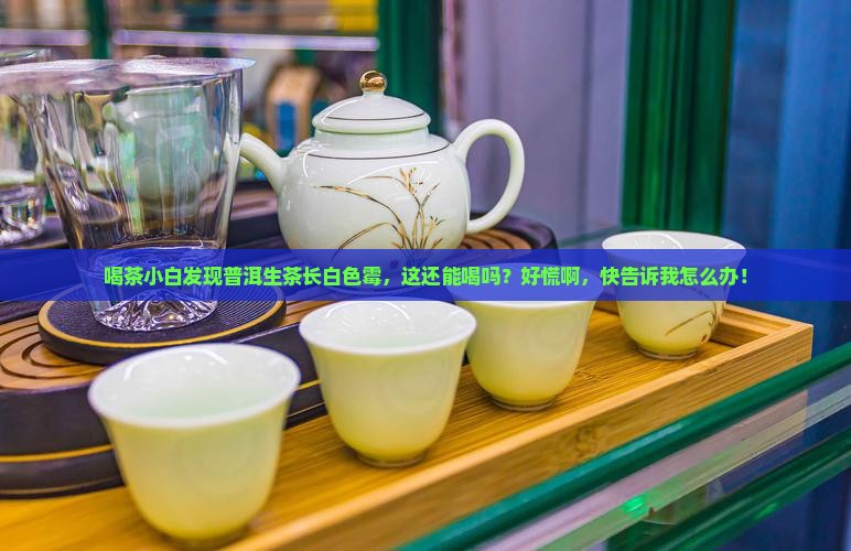 普洱生茶长白色霉