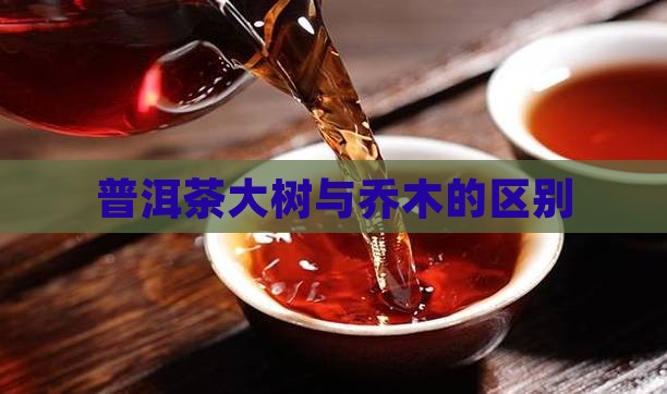 普洱茶大乔木区别