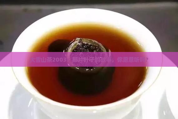 大雪山茶2003