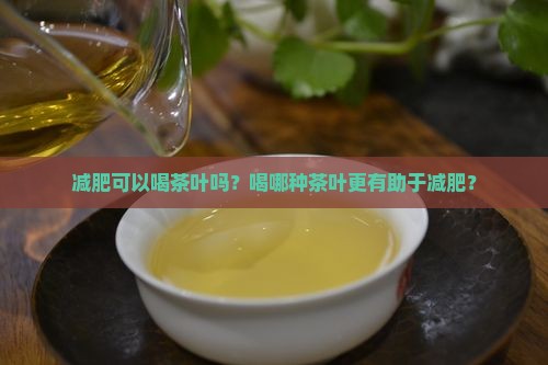 减肥可以喝茶叶