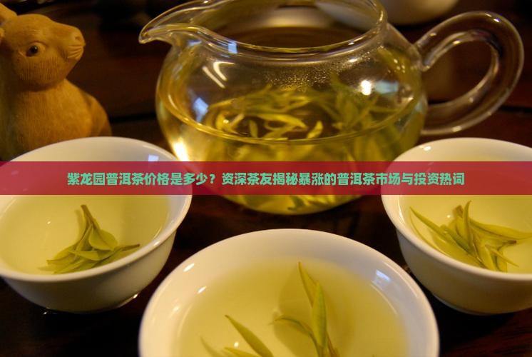 紫龙园普洱茶价格