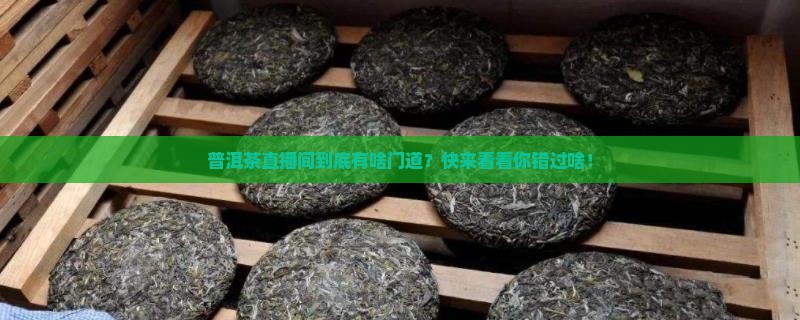 普洱茶直播间的类型有什么