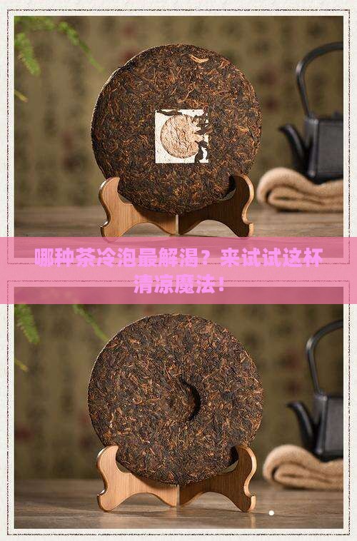 什么茶冷泡好喝