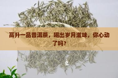 高升一品普洱茶