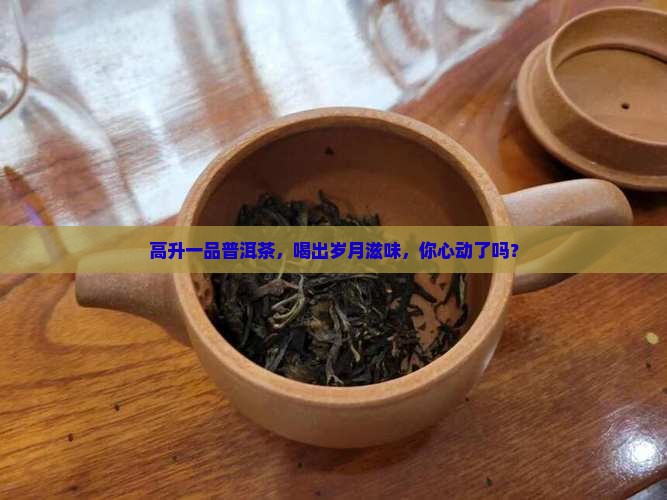高升一品普洱茶