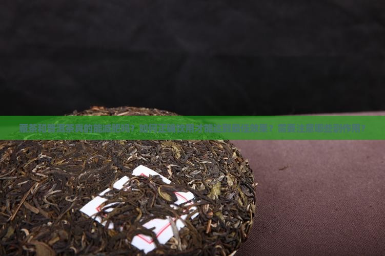 藏茶普洱茶减肥