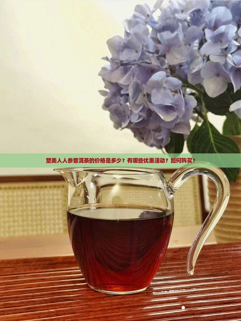 塑美人人参普洱茶价格