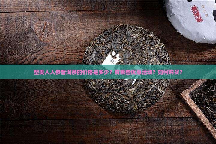 塑美人人参普洱茶价格