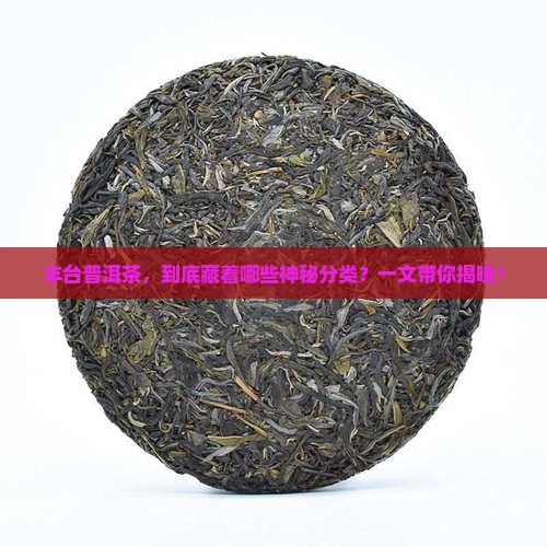 丰台普洱茶分类标准是什么