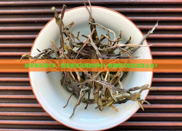 普洱茶浇花好不好