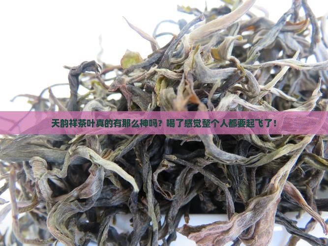天韵祥茶叶怎么样