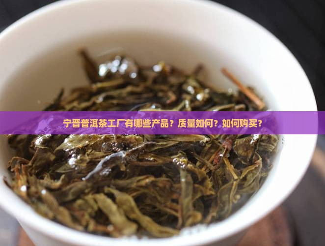 宁晋普洱茶工厂