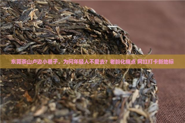 东莞茶山卢边小巷子