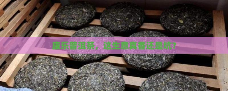 康乐普洱茶生意好不好做