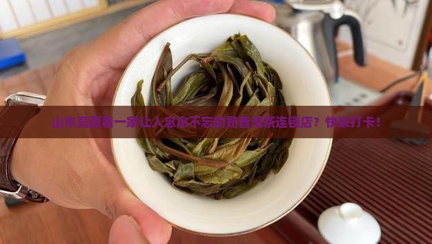 山东熟普洱茶连锁品牌