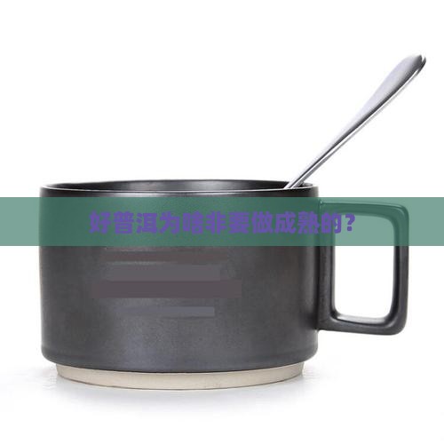 好的普洱茶会做成熟茶吗