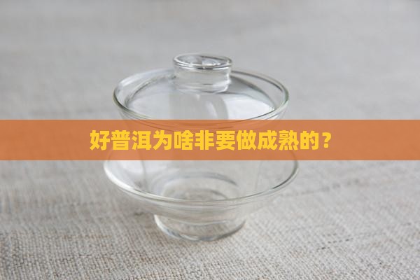好的普洱茶会做成熟茶吗