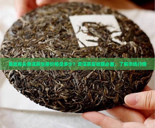 易武春尖普洱茶生茶价格