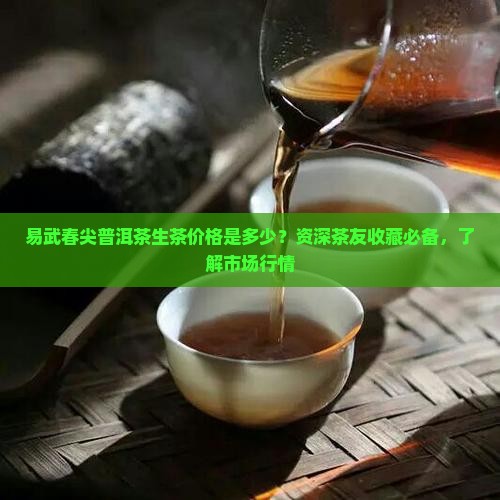 易武春尖普洱茶生茶价格