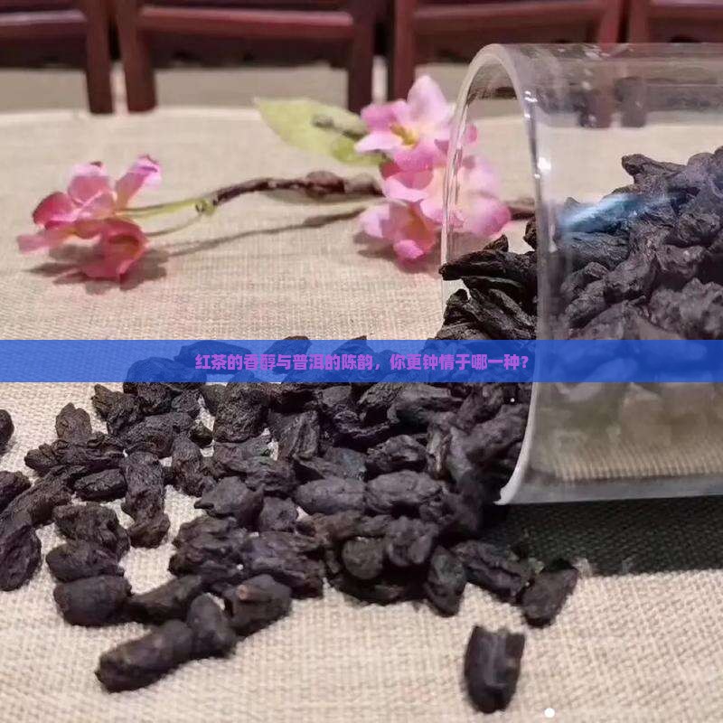 红茶好还是普洱茶吗