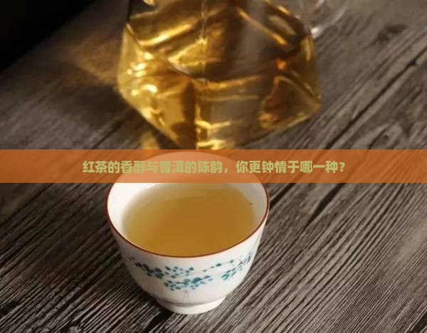 红茶好还是普洱茶吗