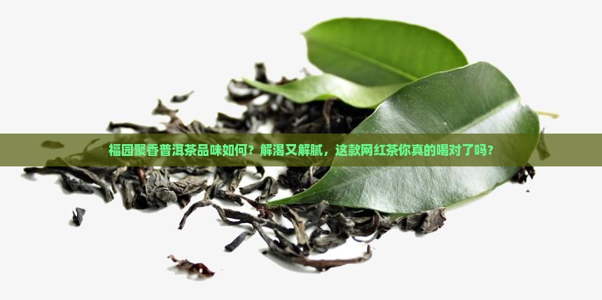 福园聚香普洱茶品味如何
