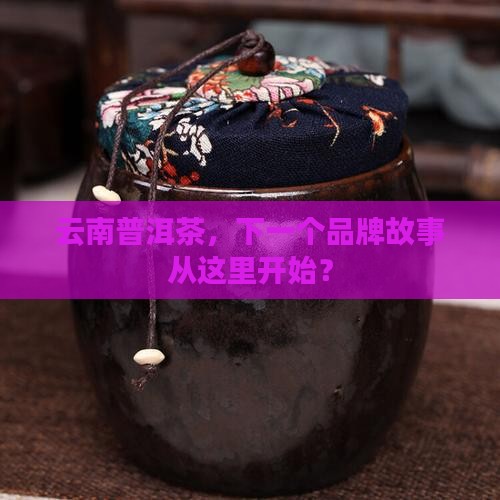 云南普洱茶品牌招商网