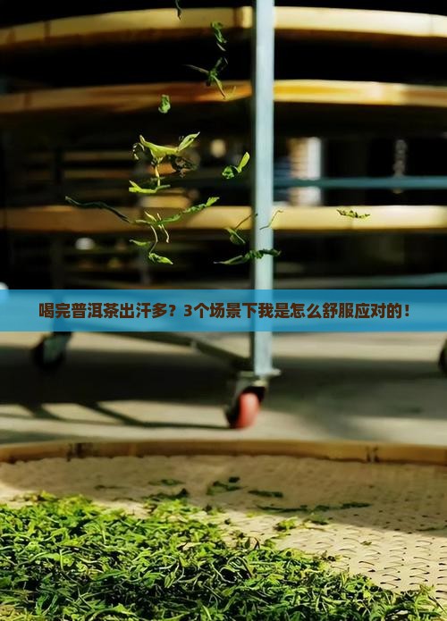 喝普洱茶和出汗