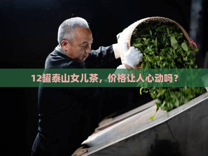 泰山女儿茶价格12罐