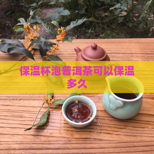 保温杯泡茶可以放多久