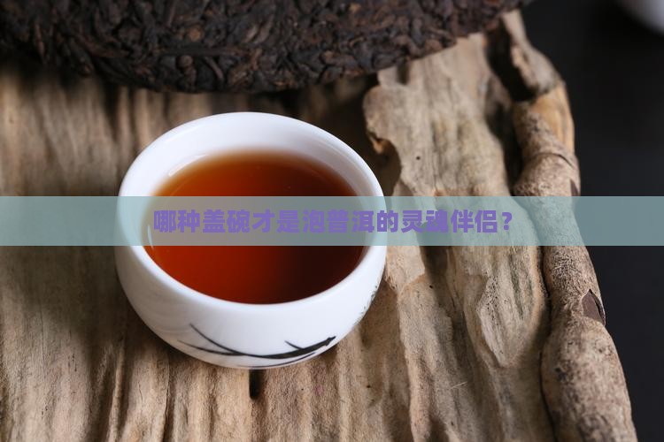 泡普洱茶哪种盖碗好