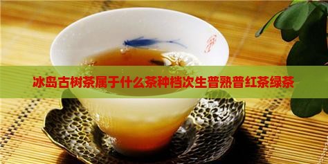 冰岛古树茶属于