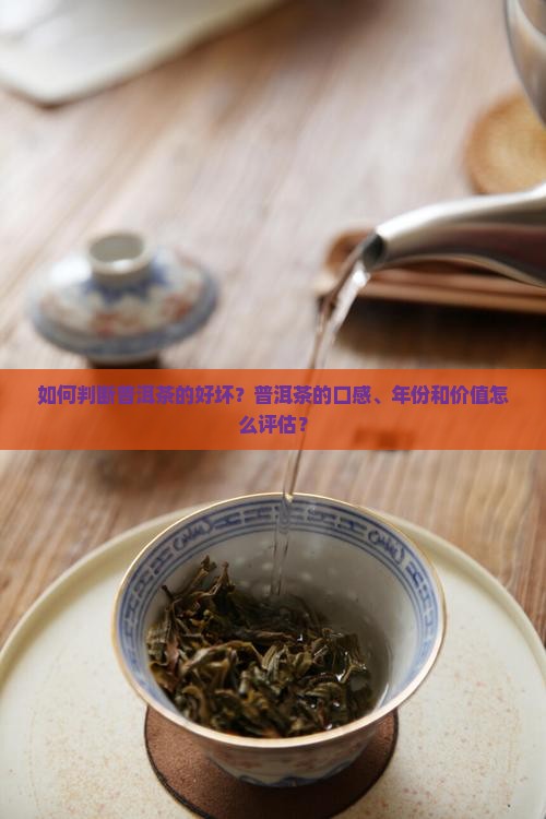 如何看普洱茶好坏啊