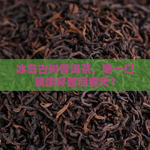 冰岛古树普洱茶口味特征 冰岛古树普洱茶口味特征