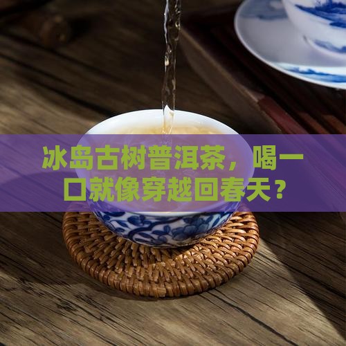 冰岛古树普洱茶口味特征 冰岛古树普洱茶口味特征