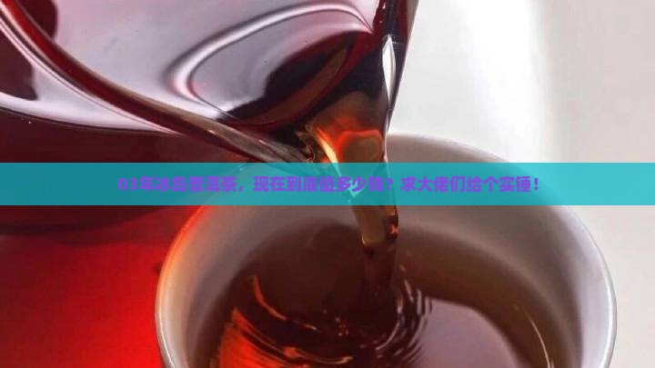 03年冰岛普洱茶价格表