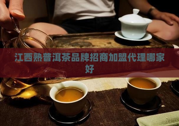 江西熟普洱茶品牌招商
