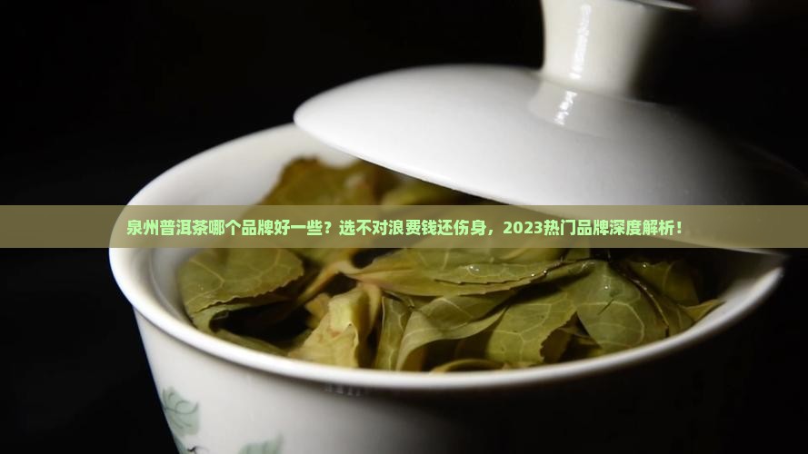 泉州普洱茶哪个品牌好一些
