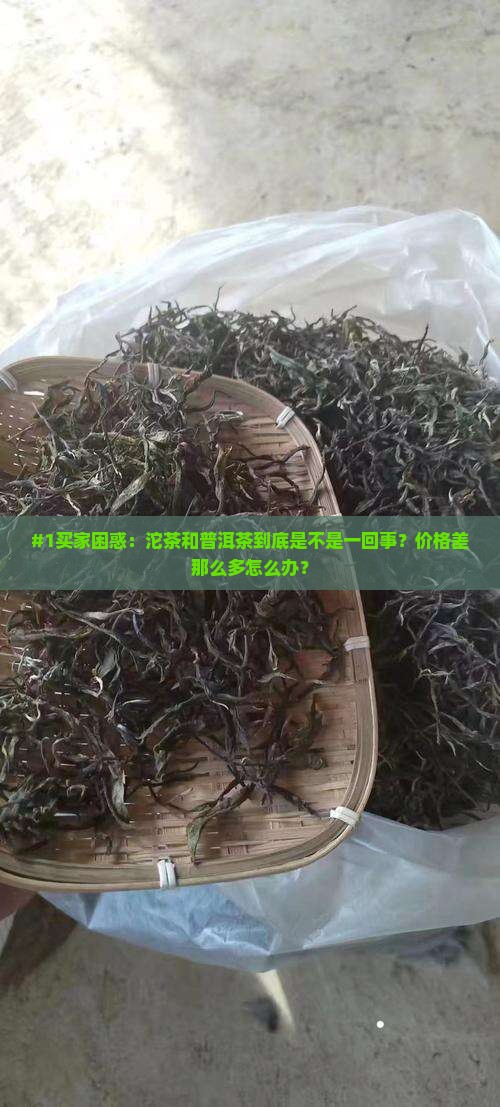沱茶是普洱茶吗价格