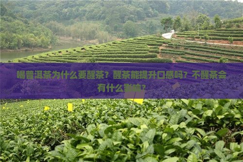喝普洱茶为什么要醒茶 喝普洱茶为什么要醒茶