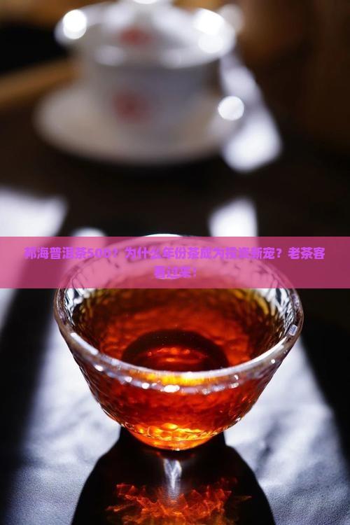 邦海普洱茶500