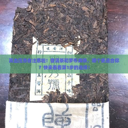 普洱茶罗布麻茶哪个降血压