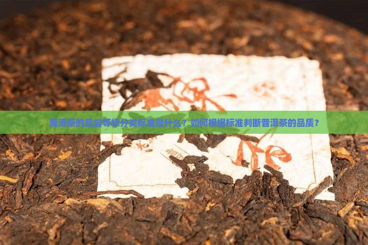 普洱茶品尝等级分类标准
