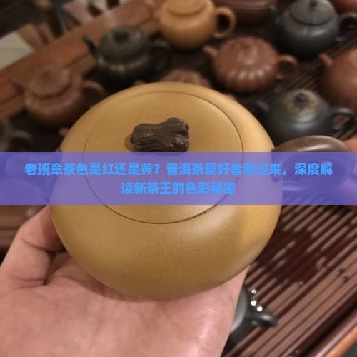 老班章茶色是红还是黄