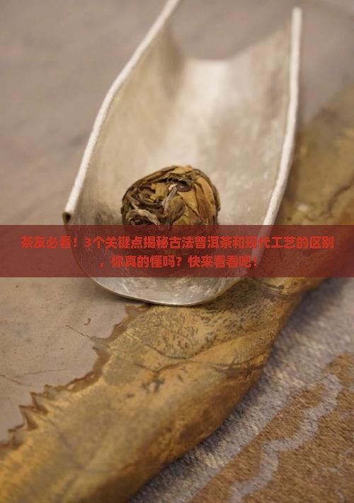 古法普洱茶与现代工艺区别