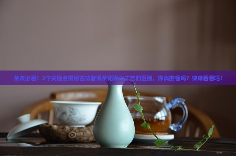 古法普洱茶与现代工艺区别