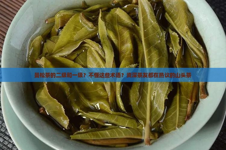曼松茶的二级和一级