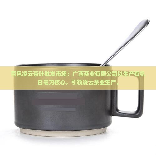 百色凌云茶叶批发市场