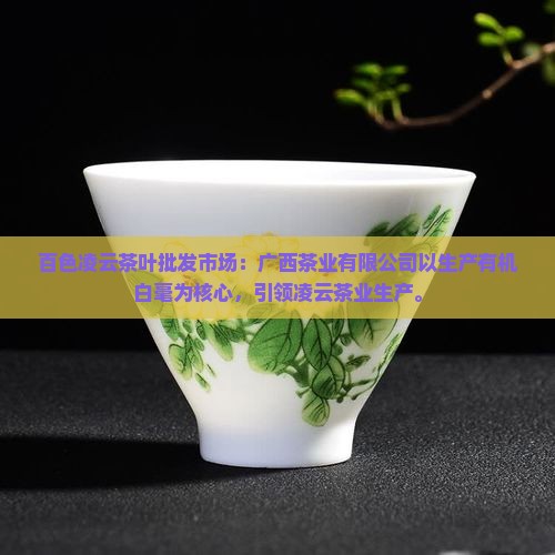 百色凌云茶叶批发市场