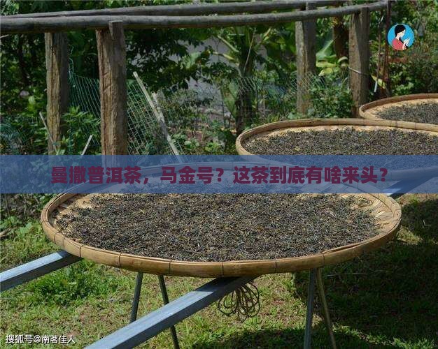 曼撒普洱茶马金号